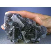 Fluorite, Pyrrhotite