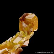Wulfenite