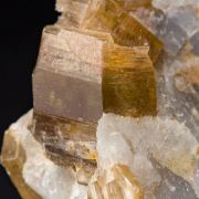 Phlogopite