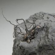 Native Silver wires on Acanthite, Calcite etc.
