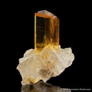 Gypsum (twinned) on Halite