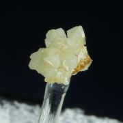 Wardite