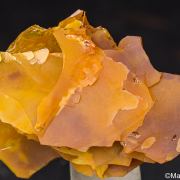 Wulfenite