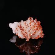 VANADINITE on BARYTE - Mibladen, Morocco