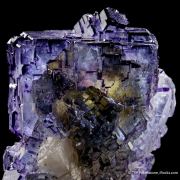 Fluorite on Calcite