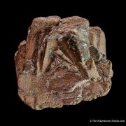 Copper ps. Azurite 