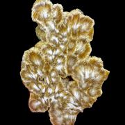 Baryte