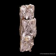 Leiteite