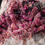 Cobaltian Calcite on Quartz