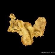 Gold (leaf gold)