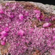 Cobaltian Calcite