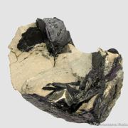 Covellite (Illustrated!)