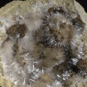 Kutnohorite with Aragonite in Geode