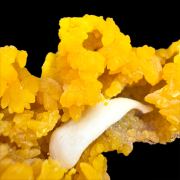 Mimetite, cerussite