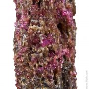 Painite with Corundum