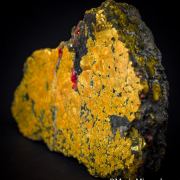 Realgar and Orpiment replacing fossil coral