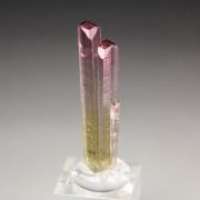 gem TOURMALINE var. ELBAITE bi-color