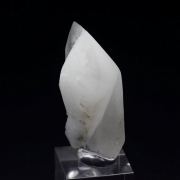 twinned WHEWELLITE