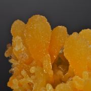 Mimetite with Wulfenite