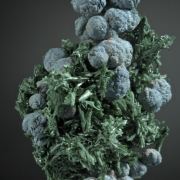 Shattuckite balls on Malachite crystals - NEW