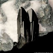 Neptunite on Natrolite