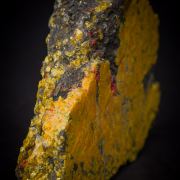 Realgar and Orpiment replacing fossil coral