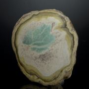 Variscite half nodule with Crandallite and Wardite