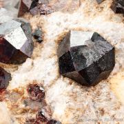 Almandine Garnet on Albite