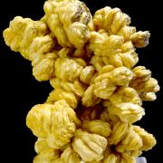 Baryte, pyrite POLAND