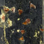 Fluorcalciopyrochlore, zircon, aegirine, titanite
