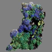 Azurite with Malachite