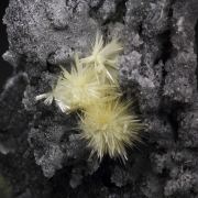VALENTINITE