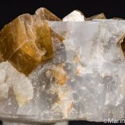 Phlogopite