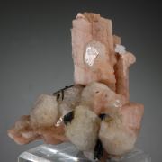 Serandite with Analcime, Aegirine