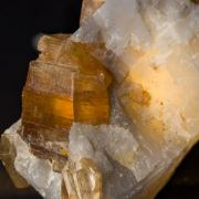 Phlogopite