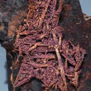 Copper with Cuprite