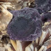 Fluorite with Baryte