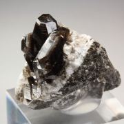 twinned ALBITE with STILPNOMELANE inclusions
