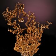 Copper (flattened octahedral crystal tree form)