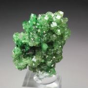 gem GARNET var. GROSSULAR with GREEN CHROMIAN PHANTOMS, CHROMITE