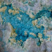 Posnjakite