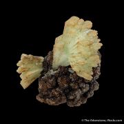 Paravauxite (Type Locality)
