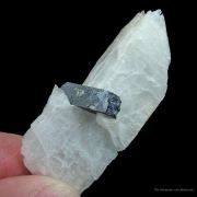 Eudidymite and Aegirine