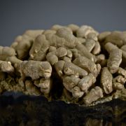 Mottramite covering Wulfenite