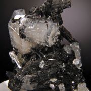 Beryl (var. Goshenite) on Schorl