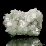 Hydroxyapophyllite-(K) on Prehnite