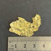 Gold leaf - Jamestown, CA. USA