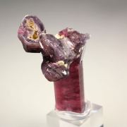 gem TOURMALINE var. ELBAITE, LEPIDOLITE