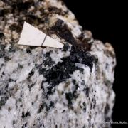 Graeserite 