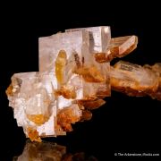 Halite and Gypsum